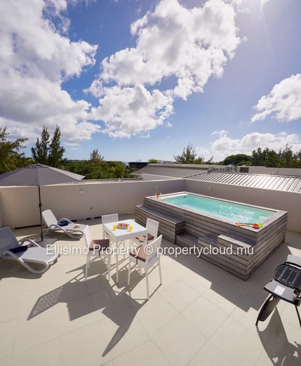 Modern Penthouse in a Secure Development