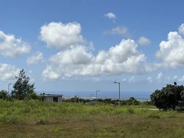 Terrain