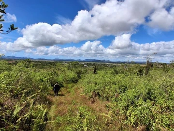 Terrain Agricole
