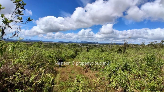 A vast plot of land, thousands of possibilities — 36,332 m² in L'Espérance