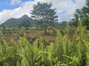 Terrain Agricole