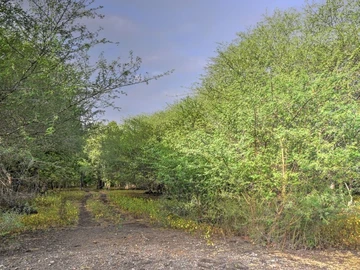 Residential Land