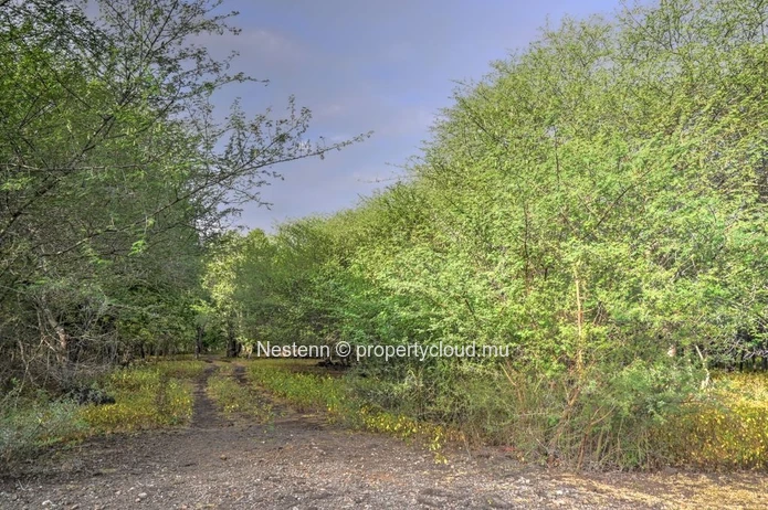 Exceptional plot of land of 2,167.66 m² – Highly sought-after gated community 