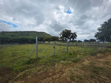 Terrain Agricole