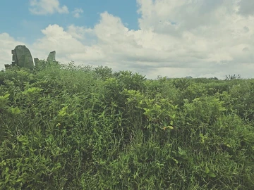 Terrain Agricole