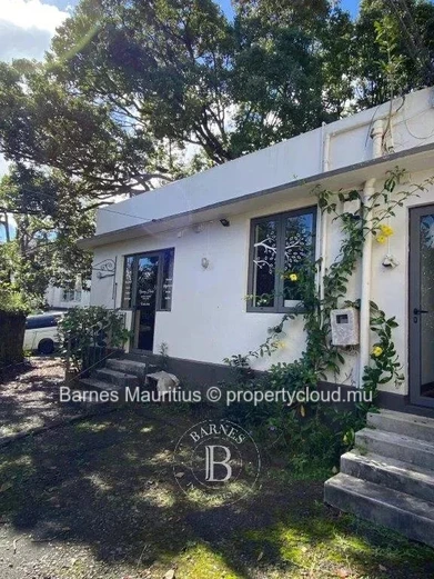 CUREPIPE - 2 Maisons indépendantes pouvant faire office d'espaces commerciaux - 420 m²