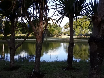 Residential Land