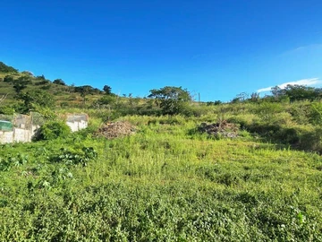 Land