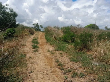 Terrain Résidentiel