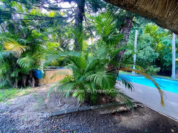 House for rent in Pointe aux Canonniers