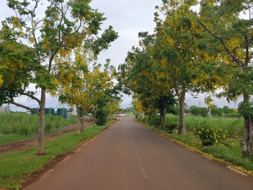 Residential Land