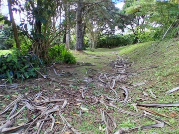 Residential Land