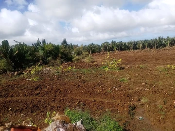Agricultural Land