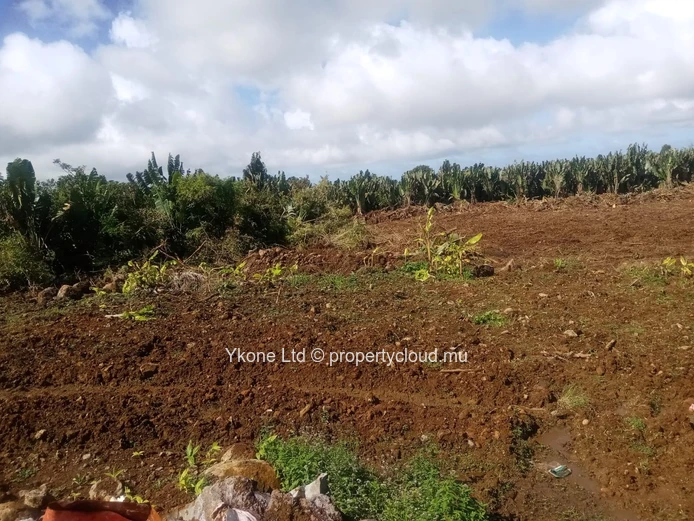Terrain Agricole En Vente À Beau Climat