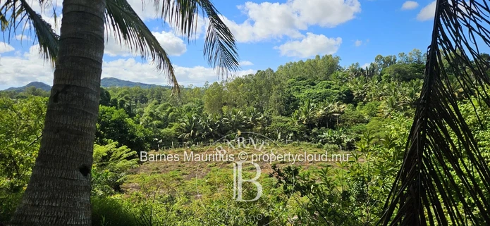 2 Bras - Terrain Agricole - 31 Arpents