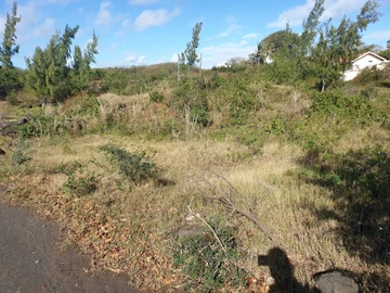 Terrain Résidentiel