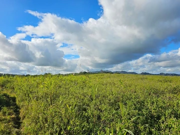 Agricultural Land