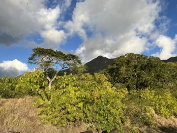 Residential Land