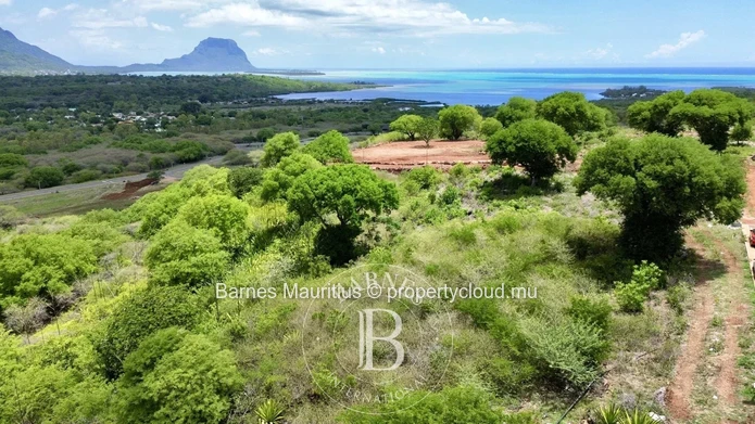 Black River - Plot of land with sea and mountain views