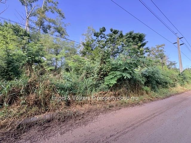 FOR SALE - Residential Land in Black River