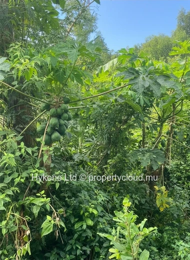 Residential Land For Sale In The Vale