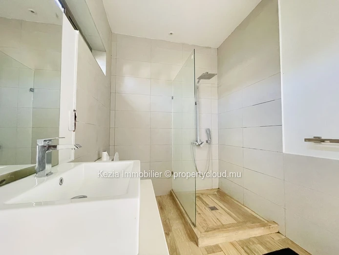 Contemporary Apartment