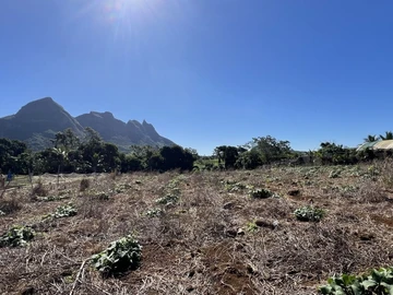 Agricultural Land