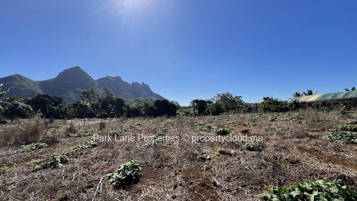 Terrain agricole avec vue panoramique sur les montagnes – L’Avenir