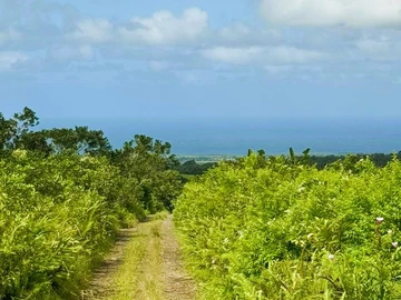 Agricultural Land
