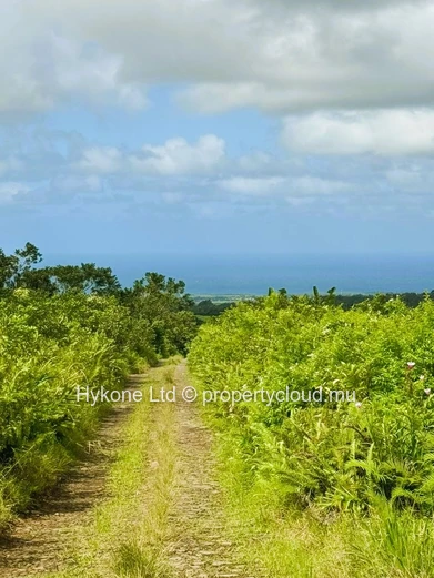 Terrain Agricole En Vente À Bois Cheri