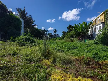 For sale residential land at Morcellement Plaine de Gersigny, Flacq. 