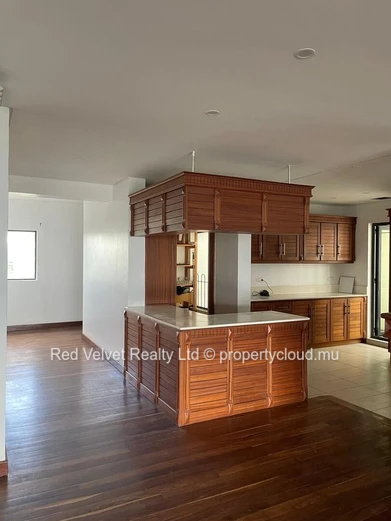 Spacious 300m² Penthouse with Terrace & Park Views