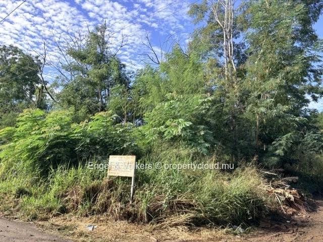 FOR SALE - Residential Land in Black River