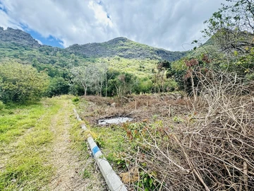 Agricultural Land