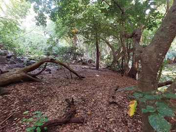 Residential Land