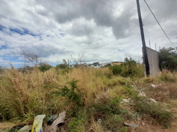 Agricultural Land