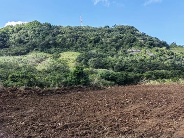 Agricultural Land