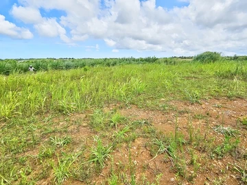 Prime agricultural land for development - 11,626m² in rapidly growing region