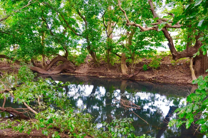 Land next to Beautiful River