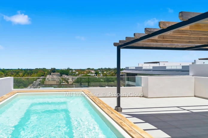 Penthouse en location