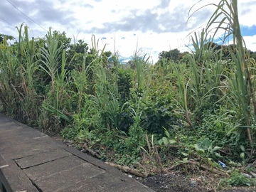 Residential Land