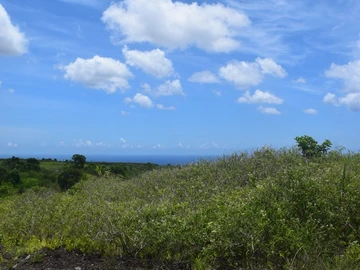 Agricultural Land