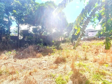 Terrain