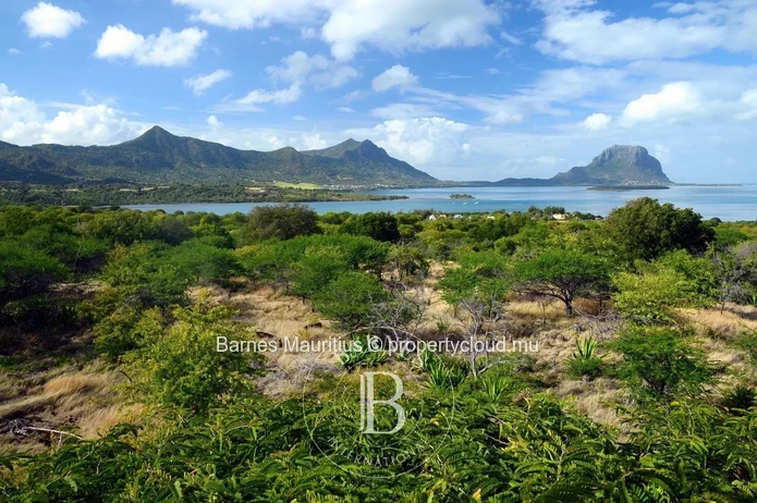 PETITE RIVIERE NOIRE - Off-plan - Residential development of 220 villas - sea view