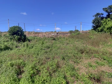 Agricultural Land