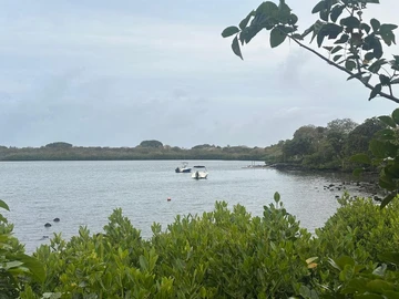 Residential Land