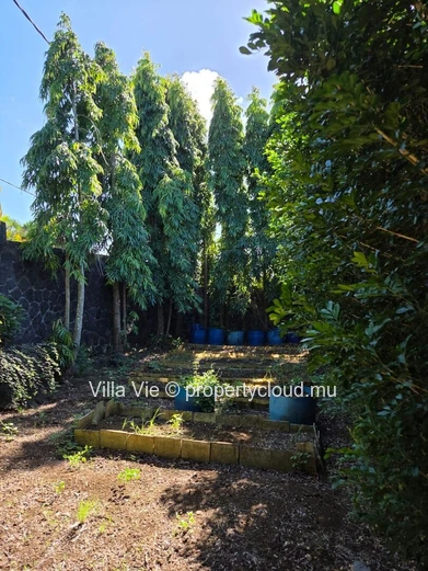 Foret Daruty - Charming 4-bedroom villa with swimming pool and spacious garden