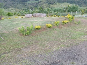 Agricultural Land