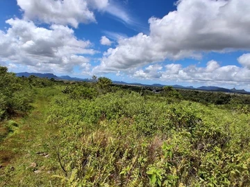 Terrain Agricole