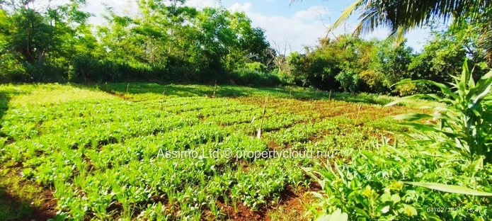 Terrain résidentiel à vendre à Terre Rouge – 1?055 m² idéal pour construction